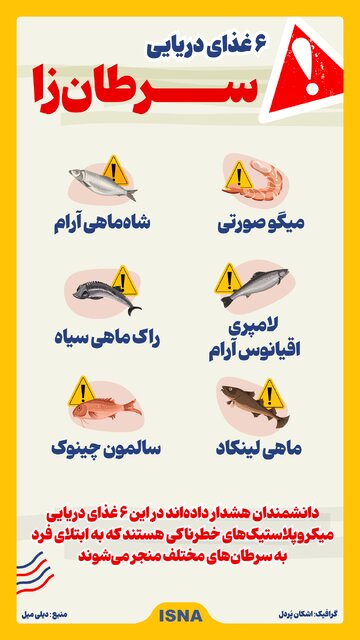 اینفوگرافیک/ ۶ غذای دریایی سرطانزا 2 اینفوگرافیک/ ۶ غذای دریایی سرطانزا
