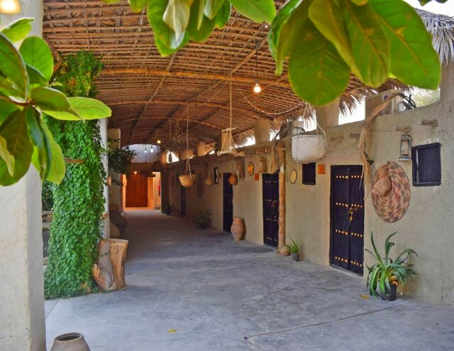 همه آنچه باید درباره جزیره قشم و دیدنیهایش بدانید 8 قشم؛ نگین درخشان خلیج فارس