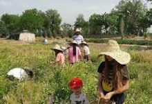 d8a7d8b2 d9bedb8cdaafdb8cd8b1db8c d8abd8a8d8aa d8acd987d8a7d986db8c dbb2 d985d8b3d8acd8af d8aad8a7 d8b4d8a8d987d8a7db8c d8aad8a7 67fefe3e82722