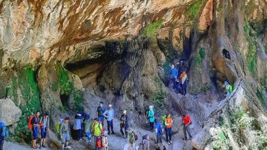 d8acd8b0d8a8 daafd8b1d8afd8b4daafd8b1d8a7d986 d8a8d8a7 d8b2db8cd8b1d8b3d8a7d8aed8aad987d8a7db8c d985d8afd8b1d986 d8afd8b1 d8af 68083821a9351