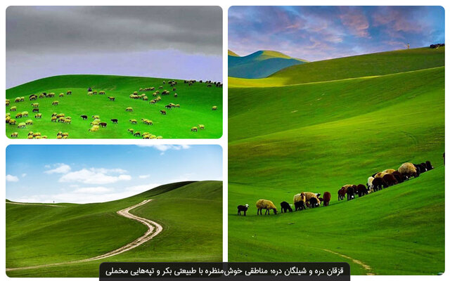 ظرفیت اسکان مهمانان نوروزی در شهر ۷۰۰۰ ساله تکمیل شد 3 ظرفیت اسکان مهمانان نوروزی در شهر ۷۰۰۰ ساله تکمیل شد