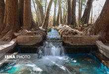 daafd988d8b4d987 d8a8d987 daafd988d8b4d987 d8a7db8cd8b1d8a7d986d89b d8a8d8a7d8ba d8acd987d8a7d986db8c d9bed987d984d988d8a7d986d9bed988 67f07ce9a952b