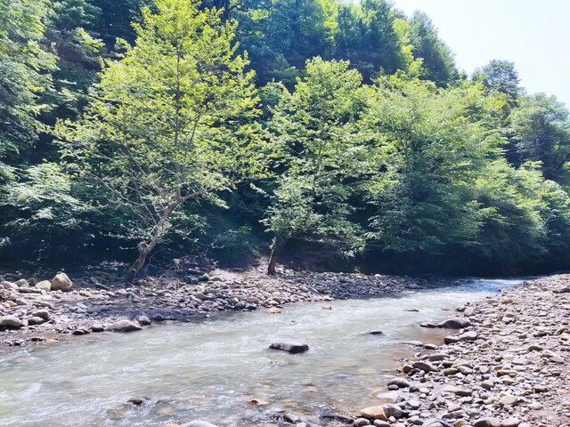 «آبشار اِسکِلیم»؛ نگین پنهان جنگل‌های هیرکانی