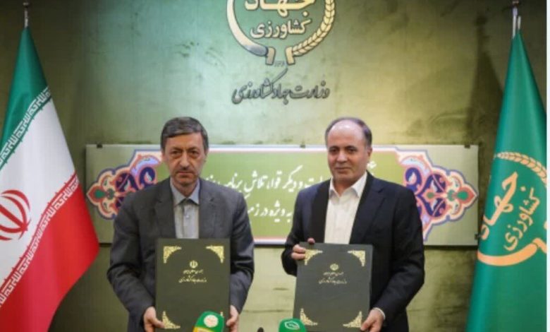 امضای تفاهمنامه رییس ستاد اجرایی فرمان امام با وزیر کشاورزی درباره تولید برنج و گوشت 1 d8a7d985d8b6d8a7db8c d8aad981d8a7d987d985d986d8a7d985d987 d8b1db8cdb8cd8b3 d8b3d8aad8a7d8af d8a7d8acd8b1d8a7db8cdb8c d981d8b1d985 68346532913b6