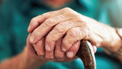 d8a8d8b1d986d8a7d985d987 d8a2d985d988d8b2d8b4db8c dbb4dbb0 d8b1d988d8b2d987 d8a8d8b1d8a7db8c d8b3d8a7d984d985d986d8afd8a7d986d89b d8aa 6817b856eca1d