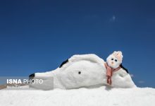 d8acd8b4d986d988d8a7d8b1d987 d8a2d8afd985 d8a8d8b1d981db8c d8aad988da86d8a7d984 d8aad987d8b1d8a7d986 681ca9fe366c4