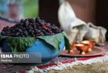 d8acd8b4d986d988d8a7d8b1d987 d8b4d8a7d8aad988d8aa d987d8b2d8a7d8b1d8b1d988d8afd89b d9bedb8cd988d986d8af d8b7d8b1d8a7d988d8aa d8b7d8a8 68268bd2be5d3