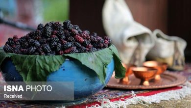 d8acd8b4d986d988d8a7d8b1d987 d8b4d8a7d8aad988d8aa d987d8b2d8a7d8b1d8b1d988d8afd89b d9bedb8cd988d986d8af d8b7d8b1d8a7d988d8aa d8b7d8a8 68268bd2be5d3