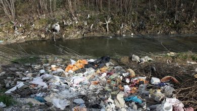 زباله؛ سوغاتی ناخواسته گردشگران برای مشهورترین مقصد توریستی خراسان رضوی 10 d8b2d8a8d8a7d984d987d89b d8b3d988d8bad8a7d8aadb8c d986d8a7d8aed988d8a7d8b3d8aad987 daafd8b1d8afd8b4daafd8b1d8a7d986 d8a8d8b1d8a7db8c 682299b101080