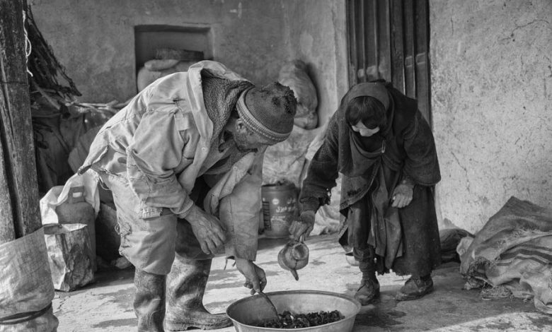 ماجرای «فرزندان خونیار» چیست؟ 1 d985d8a7d8acd8b1d8a7db8c d981d8b1d8b2d986d8afd8a7d986 d8aed988d986db8cd8a7d8b1 da86db8cd8b3d8aad89f 681dfcad003bd