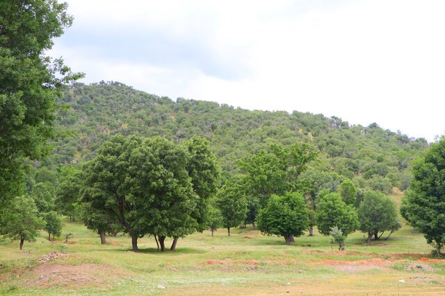 مریوان فراتر از یک شهر/ روایت طبیعت و فرهنگ و هنر 6 مریوان فراتر از یک شهر/ روایت طبیعت و فرهنگ و هنر