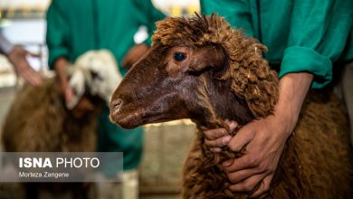 d8a2d985d8a7d8afdaafdb8c d8a8d987d8b2db8cd8b3d8aadb8c d8aad987d8b1d8a7d986 d8acd987d8aa d8afd8b1db8cd8a7d981d8aa d986d8b0d988d8b1d8a7 6840992663b87