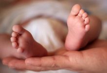 d8a7d8afd8a7d985d987 d8b1d988d986d8af d986d8b2d988d984db8c d986d8b1d8ae d8b2d8a7d8af d988 d988d984d8af d8afd8b1 da98d8a7d9bed986 68413f6f4e2b5