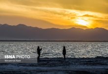 daafd986d8acdb8cd986d987d8a7db8c d8afd8b1 d8a7d986d8aad8b8d8a7d8b1 d8a7d8addb8cd8a7 d985db8cd982d8a7d986 d8aad8b4d986d987 68462edf4f8bd