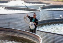 d8a7d8acd8b1d8a7db8c d8a8db8cd8b4 d8a7d8b2 dbb3dbb0dbb0dbb0dbb0 d8b7d8b1d8ad d8a7d8b4d8aad8bad8a7d984d8b2d8a7db8cdb8c d8afd8b1 690069605caf1