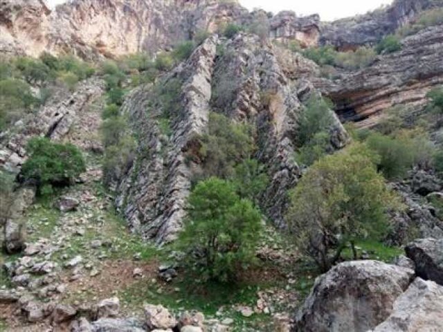 دره «دانوک»؛ نگین بکر طبیعت ایوان 2 دره «دانوک»؛ نگین بکر طبیعت ایوان