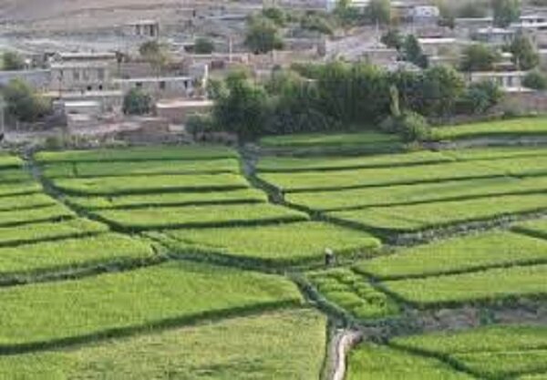 «سرتنگ»؛ روستایی واجد جغرافیای اشتغال، اقتصاد کشاورزی و جاذبه گردشگری 1 d8b3d8b1d8aad986daafd89b d8b1d988d8b3d8aad8a7db8cdb8c d988d8a7d8acd8af d8acd8bad8b1d8a7d981db8cd8a7db8c d8a7d8b4d8aad8bad8a7 68eef2064cf01
