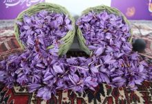 d8b3d988d985db8cd986 d8acd8b4d986d988d8a7d8b1d987 d8b2d8b9d981d8b1d8a7d986 d8b1d8a7d988db8cd8b2 d8b1d981d8b3d986d8acd8a7d986 d8a8d8b1 690406cea6e8e