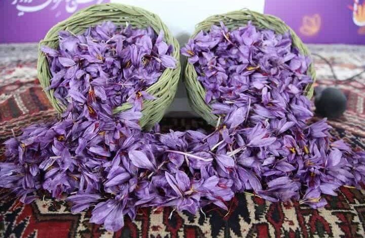 d8b3d988d985db8cd986 d8acd8b4d986d988d8a7d8b1d987 d8b2d8b9d981d8b1d8a7d986 d8b1d8a7d988db8cd8b2 d8b1d981d8b3d986d8acd8a7d986 d8a8d8b1 690406cea6e8e