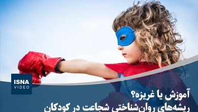 ویدیو/ آموزش یا غریزه؟ ریشههای روانشناختی شجاعت در کودکان 4 d988db8cd8afdb8cd988 d8a2d985d988d8b2d8b4 db8cd8a7 d8bad8b1db8cd8b2d987d89f d8b1db8cd8b4d987d987d8a7db8c d8b1d988d8a7d986 6904b1b9edd50