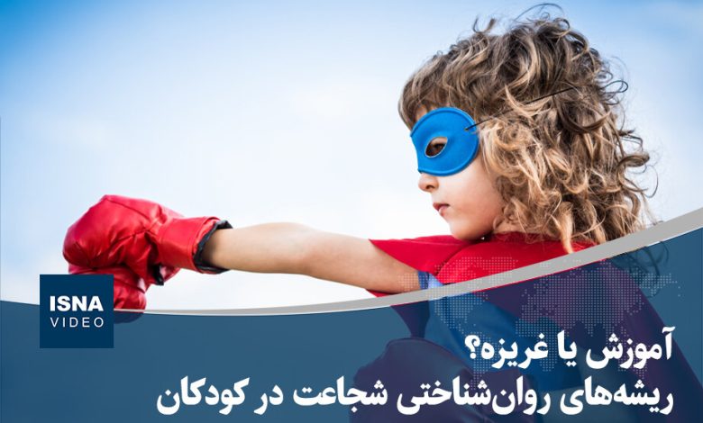 ویدیو/ آموزش یا غریزه؟ ریشههای روانشناختی شجاعت در کودکان 1 d988db8cd8afdb8cd988 d8a2d985d988d8b2d8b4 db8cd8a7 d8bad8b1db8cd8b2d987d89f d8b1db8cd8b4d987d987d8a7db8c d8b1d988d8a7d986 6904b1b9edd50