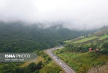 daafd8b1d8afd986d987 d8addb8cd8b1d8a7d986d89b daafd8b0d8b1daafd8a7d987 d8a7d8b3d8aad8b1d8a7d8aada98db8cdaa9 d8a8d8a7 da86d8b4d985 69001516104a2