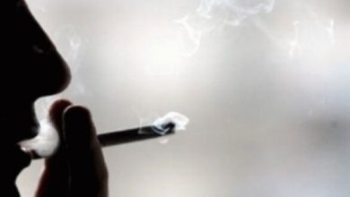 d8a2d8b3db8cd8a8d987d8a7db8c d8a8db8cd986d986d8b3d984db8c d986d8a7d8b4db8c d8a7d8b2 d8b3db8cdaafd8a7d8b1 daa9d8b4db8cd8af 6923aced29e5a