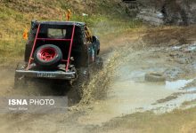 d8a2d981d8b1d988d8afd8b3d988d8a7d8b1db8cd88c d982d8a7d8aad984 d8aed8a7d985d988d8b4 d8b7d8a8db8cd8b9d8aa 6926c82d26f24