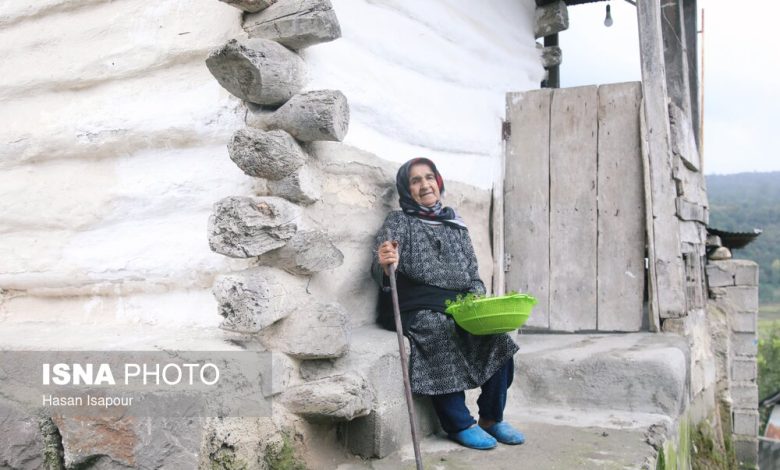 آمارهای جدید از سالمندی؛ ایران از مرز ۱۴ درصد جمعیت سالمند عبور کرد/ وارد دوره سالمندی شدیم 1 d8a2d985d8a7d8b1d987d8a7db8c d8acd8afdb8cd8af d8a7d8b2 d8b3d8a7d984d985d986d8afdb8cd89b d8a7db8cd8b1d8a7d986 d8a7d8b2 d985d8b1d8b2 dbb1 6925fc5f43085