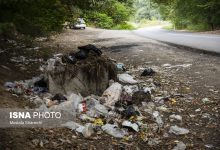 d8a2d985d988d8b2d8b4 d988 d981d8b1d987d986daafd8b3d8a7d8b2db8cd89b daa9d984db8cd8af daa9d8a7d987d8b4 d8a2d984d988d8afdaafdb8c 6926cfee93f6c