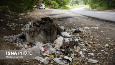 d8a2d985d988d8b2d8b4 d988 d981d8b1d987d986daafd8b3d8a7d8b2db8cd89b daa9d984db8cd8af daa9d8a7d987d8b4 d8a2d984d988d8afdaafdb8c 6926cfee93f6c