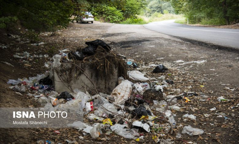 d8a2d985d988d8b2d8b4 d988 d981d8b1d987d986daafd8b3d8a7d8b2db8cd89b daa9d984db8cd8af daa9d8a7d987d8b4 d8a2d984d988d8afdaafdb8c 6926cfee93f6c