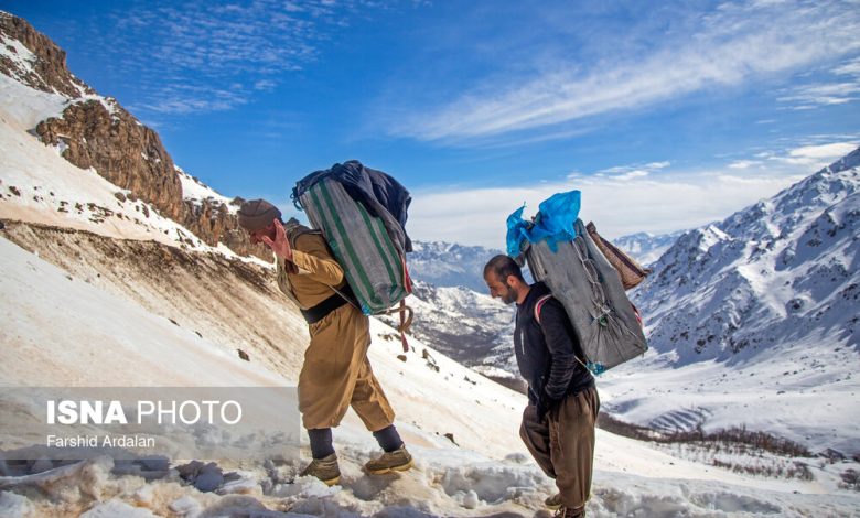 اجرای طرح اشتغالزایی جایگزین کولبری توسط بنیاد برکت 1 d8a7d8acd8b1d8a7db8c d8b7d8b1d8ad d8a7d8b4d8aad8bad8a7d984d8b2d8a7db8cdb8c d8acd8a7db8cdaafd8b2db8cd986 daa9d988d984d8a8d8b1db8c d8aa 69231eebbd081