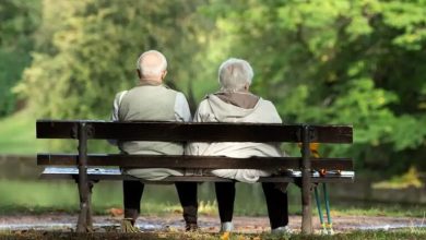 d8a7d981d8b2d8a7db8cd8b4 d8b3d986 d8a8d8a7d8b2d986d8b4d8b3d8aadaafdb8c d8afd8b1 d8afd8a7d986d985d8a7d8b1daa9 69259aedca5d6