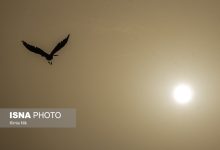 d8a7d981d8b2d8a7db8cd8b4 d8bad984d8b8d8aa d8a2d984d8a7db8cd986d8afd987d987d8a7 d8afd8b1 d987d988d8a7db8c d8aad987d8b1d8a7d986 6922ee5817ddb