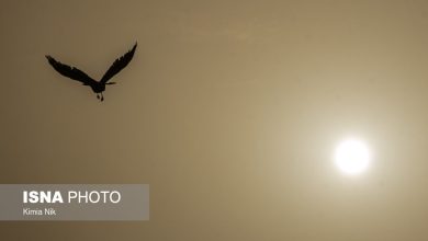 d8a7d981d8b2d8a7db8cd8b4 d8bad984d8b8d8aa d8a2d984d8a7db8cd986d8afd987d987d8a7 d8afd8b1 d987d988d8a7db8c d8aad987d8b1d8a7d986 6922ee5817ddb