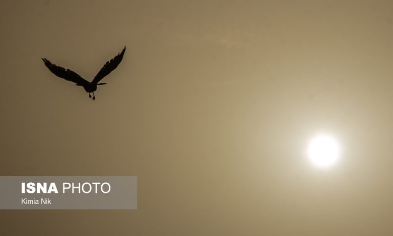 افزایش غلظت آلایندهها در هوای تهران/ از تردد غیرضروری خودداری کنید 1 d8a7d981d8b2d8a7db8cd8b4 d8bad984d8b8d8aa d8a2d984d8a7db8cd986d8afd987d987d8a7 d8afd8b1 d987d988d8a7db8c d8aad987d8b1d8a7d986 6922ee5846a50