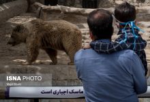 d8a8d8a7d8b2d8afdb8cd8af d8a7d8b2 d8a8d8a7d8ba d988d8add8b4 d8a7d8b1d985 dbb1dbb3 d8a2d8a8d8a7d986 d8b1d8a7db8cdaafd8a7d986 d8a7d8b3d8aa 6925868ecd55a