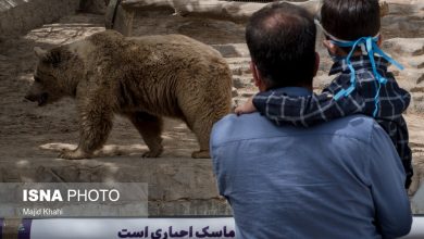 بازدید از باغ وحش ارم ۱۳ آبان رایگان است 4 d8a8d8a7d8b2d8afdb8cd8af d8a7d8b2 d8a8d8a7d8ba d988d8add8b4 d8a7d8b1d985 dbb1dbb3 d8a2d8a8d8a7d986 d8b1d8a7db8cdaafd8a7d986 d8a7d8b3d8aa 6925868ecd55a