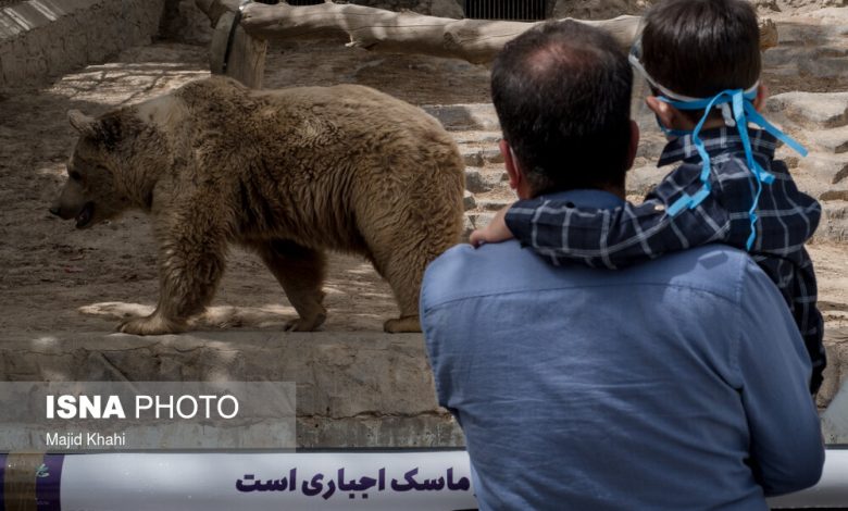 بازدید از باغ وحش ارم ۱۳ آبان رایگان است 1 d8a8d8a7d8b2d8afdb8cd8af d8a7d8b2 d8a8d8a7d8ba d988d8add8b4 d8a7d8b1d985 dbb1dbb3 d8a2d8a8d8a7d986 d8b1d8a7db8cdaafd8a7d986 d8a7d8b3d8aa 6925868ecd55a