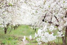 d8a8d8aed8b4 d8b2d986d8af d985d984d8a7db8cd8b1d89b d985d987d8af d8b4daa9d988d981d987d987d8a7db8c daafdb8cd984d8a7d8b3 6926dadd117a7