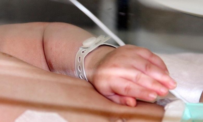 d8a8d8b1d986d8a7d985d987 d8acd8afdb8cd8af da86db8cd986 d8a8d8b1d8a7db8c d8aad8b4d988db8cd982 d981d8b1d8b2d986d8afd8a2d988d8b1db8c 69244d5e82177