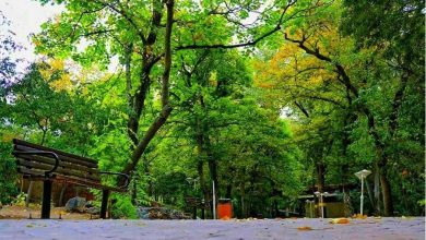 d8a8d987d8b3d8a7d8b2db8c d8a8d988d8b3d8aad8a7d986 d982db8cd8b7d8b1db8cd987 d8b1d988d986d985d8a7db8cdb8c d8a7d8b2 d985d8a7d8b4db8cd986 6922fb0840b39