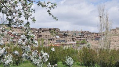 d8a8d987d8b4d8aa daafd985d8b4d8afd987 d8aed8b1d8a7d8b3d8a7d986 d8b1d8b6d988db8cd89b db8cdaa9db8c d8a7d8b2 d985d982d8a7d8b5d8af d985d8ad 6926dfb83873f