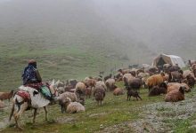 d8a8db8cd8b4 d8a7d8b2 dbb2 d987d8b2d8a7d8b1 d8aed8a7d986d988d8a7d8b1 d8b9d8b4d8a7db8cd8b1db8c daa9d984d8a7d8aa d987db8cda86 daafd988d986 6926a4234c025