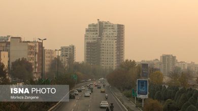 d8aad8afd8a7d988d985 d8a2d984d988d8afdaafdb8c d987d988d8a7db8c d9bed8a7db8cd8aad8aed8aad89b dbb2dbb5 d8a7db8cd8b3d8aadaafd8a7d987 d8af 6926da784f788