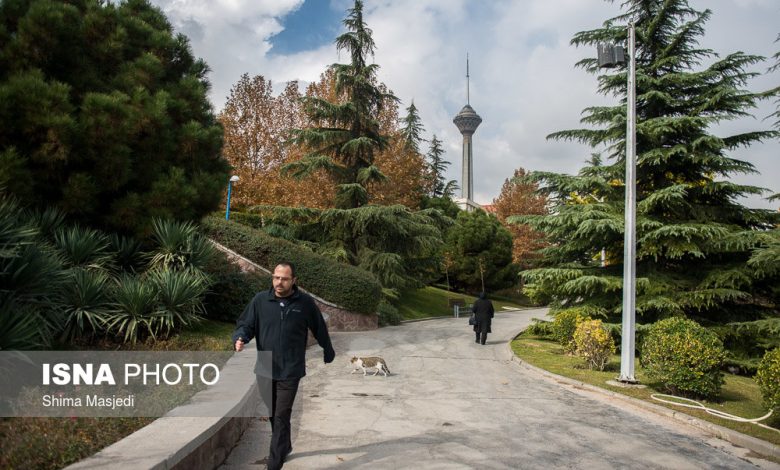 d8aad8afd8a7d988d985 d988d8b6d8b9db8cd8aa d982d8a7d8a8d984 d982d8a8d988d984 d987d988d8a7db8c d8aad987d8b1d8a7d986 6924dd7af3eb2