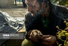 d8aad8afd988db8cd986 d8b7d8b1d8addb8c d8a8d8b1d8a7db8c daa9d986d8aad8b1d984 d8a8d8a7d8b2d8a7d8b1 d985d8b5d8b1d981 d985d988d8a7d8afd985 69238cfa18d96