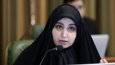 d8aad8b0daa9d8b1 d8afd988 d8b9d8b6d988 d8b4d988d8b1d8a7db8c d8b4d987d8b1 d8aad987d8b1d8a7d986 d8afd8b1d9bedb8c d8aad988d987db8cd986 d8a7 6922febeaac13