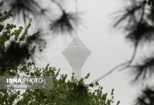 d8aad986d981d8b3 dbb2dbb1 d8b1d988d8b2 d987d988d8a7db8c d986d8a7d8b3d8a7d984d985 d8a8d8b1d8a7db8c daafd8b1d988d987d987d8a7db8c 6922ecc72c7c9